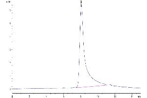 The purity of Biotinylated Human IL-10 is greater than 95 % as determined by SEC-HPLC. (IL-10 Protein (His-Avi Tag,Biotin))