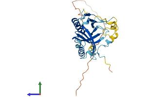 AlphaFold protein structure predicition of Human Recombinant TPRG1L Protein, UniprotID Q5T0D9 (TPRG1L Protein (AA 1-272) (His tag))