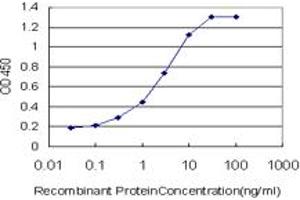 Detection limit for recombinant GST tagged EPHB3 is approximately 0. (EPH Receptor B3 antibody  (AA 899-997))