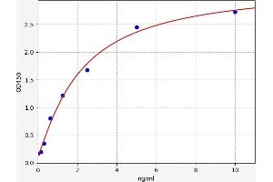 BAP1 ELISA Kit