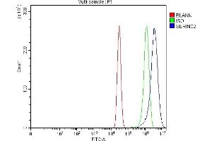 Flow Cytometry analysis of A431 cells using anti-SERINC2 antibody (ABIN7602193). (SERINC2 antibody  (AA 62-378))