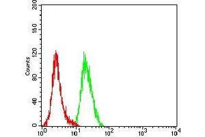 Flow cytometric analysis of Hela cells using ULBP2 mouse mAb (green) and negative control (red). (ULBP2 antibody  (AA 26-216))