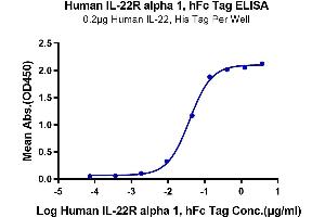Immobilized Human IL-22, His Tag at 2 μg/mL (100 μL/Well) on the plate. (IL22 Receptor alpha 1 Protein (AA 16-228) (Fc Tag))