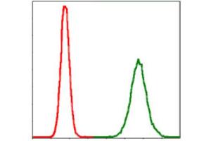 Flow Cytometry (FACS) image for anti-Protein Phosphatase 2A Activator, Regulatory Subunit 4 (PPP2R4) antibody (ABIN1844821) (PPP2R4 antibody)