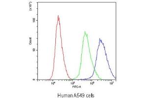Flow cytometry testing of human A549 cells with Periaxin antibody at 1ug/10^6 cells (blocked with goat sera)