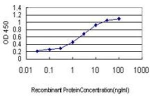 Detection limit for recombinant GST tagged CDX4 is approximately 0. (CDX4 antibody  (AA 71-170))