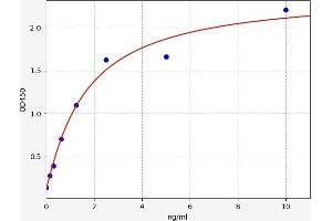 S100 Protein (S100) ELISA Kit