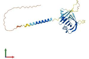 Protein Structure (PS) image for Integral Membrane Protein 2B (ITM2B) (AA 1-266) protein (His tag) (ABIN7562707)