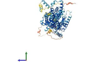 Protein Structure (PS) image for Solute Carrier Family 26 (Sulfate Transporter), Member 1 (SLC26A1) (AA 1-704) protein (His tag) (ABIN7556525)