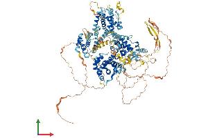 Protein Structure (PS) image for Retinoblastoma-Like 2 (p130) (RBL2) (AA 1-1139) protein (His tag) (ABIN7555158)