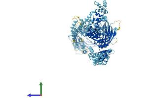 Protein Structure (PS) image for WD Repeat Domain 19 (WDR19) (AA 1-1342) protein (His tag) (ABIN7556036)