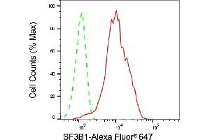 Flow cytometric analysis of SF3B1 expression in HepG2 cells using SF3B1 antibody (ABIN7800424), 1:2,000).