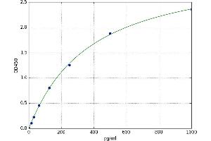 Fibroblast Growth Factor Receptor Substrate 2 (FRS2) ELISA Kit