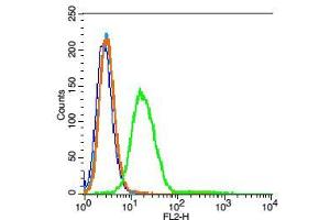 Image no. 4 for anti-Tachykinin Receptor 3 (TACR3) (AA 151-250) antibody (ABIN725735)