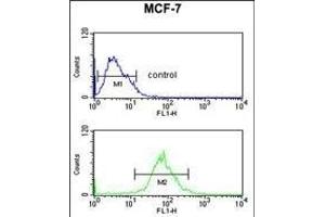 AIM2 Antibody (N-term) (ABIN653833 and ABIN2843099) flow cytometric analysis of MCF-7 cells (bottom histogram) compared to a negative control cell (top histogram). (AIM2 antibody  (N-Term))