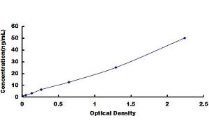 Typical Standard Curve for SDC1, Human ELISA