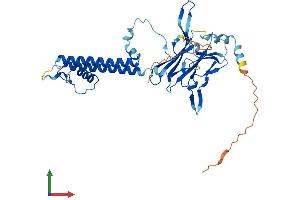AlphaFold protein structure predicition of Mouse Recombinant Kcnj11 Protein, UniprotID Q61743 (KCNJ11 Protein (AA 1-390) (His tag))