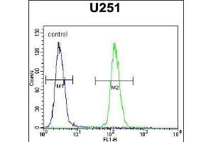 ICEF1 Antibody (C-term) (ABIN654728 and ABIN2844416) flow cytometric analysis of  cells (right histogram) compared to a negative control cell (left histogram). (ICEF1 antibody  (C-Term))