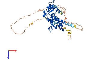 AlphaFold protein structure predicition of Human Recombinant MAGEA12 Protein, UniprotID P43365 (MAGEA12 Protein (AA 1-314) (His tag))