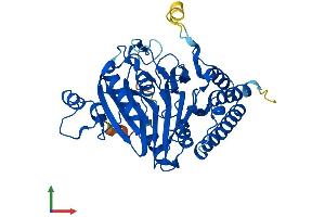 AlphaFold protein structure predicition of Human Recombinant SCRN3 Protein, UniprotID Q0VDG4