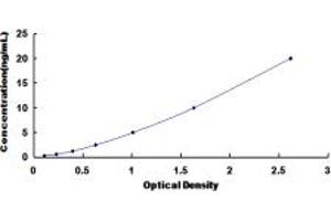 Typical standard curve (NADPH Oxidase 4 ELISA Kit)