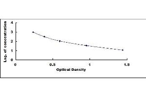 Typical standard curve