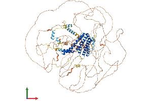 AlphaFold protein structure predicition of Mouse Recombinant Aff3 Protein, UniprotID P51827