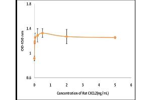 Activity Assay (AcA) image for Chemokine (C-X-C Motif) Ligand 2 (CXCL2) (Active) protein (ABIN5509438) (CXCL2 Protein)