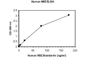 ELISA image for Enolase 2 (Gamma, Neuronal) (ENO2) ELISA Kit (ABIN1305165) (ENO2/NSE ELISA Kit)