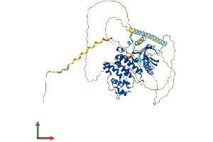 AlphaFold protein structure predicition of Mouse Recombinant Srpk2 Protein, UniprotID O54781 (SRPK2 Protein (AA 1-681) (His tag))