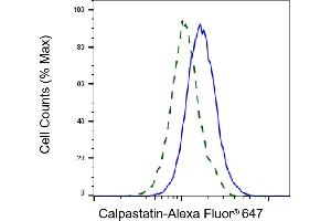 Validation of Calpastatin knockdown using flow cytometry. (Calpastatin antibody)