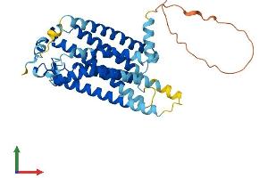Protein Structure (PS) image for Lysophosphatidic Acid Receptor 3 (LPAR3) (AA 1-353) protein (His tag) (ABIN7549067)