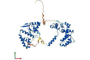 Protein Structure (PS) image for Regulator of G-Protein Signaling 11 (RGS11) (AA 1-467) protein (His tag) (ABIN7551379)