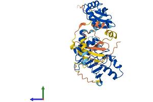 AlphaFold protein structure predicition of Human Recombinant NXF5 Protein, UniprotID Q9H1B4