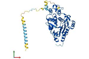 AlphaFold protein structure predicition of Mouse Recombinant B3GNT2 Protein, UniprotID Q9Z222