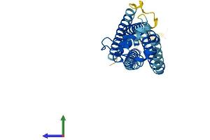 Protein Structure (PS) image for Tetraspanin 3 (TSPAN3) (AA 1-253) protein (His tag) (ABIN7544810)