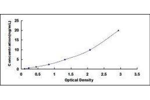 Mannose Receptor, C Type 1 (MRC1) ELISA Kit
