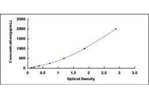 Procollagen II C-Terminal Propeptide (PIICP) ELISA Kit