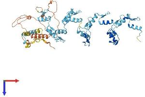 AlphaFold protein structure predicition of Human Recombinant ZNF880 Protein, UniprotID Q6PDB4 (ZNF880 Protein (AA 1-577) (His tag))