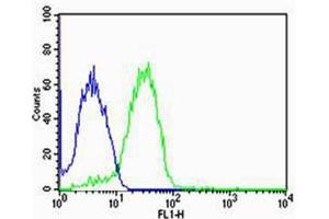 Flow cytometric analysis of MCF-7 cells using UIMC1 Antibody (C-term)(green, Cat(ABIN1944736 and ABIN2838561)) compared to an isotype control of rabbit IgG(blue). (UIMC1 antibody  (C-Term))
