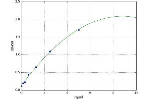 PAFAH1B1 ELISA Kit