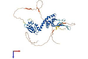 Potassium Channel Tetramerisation Domain Containing 20 (KCTD20) (AA 1-419) protein (His tag)