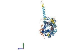 AlphaFold protein structure predicition of Human Recombinant SLC18A3 Protein, UniprotID Q16572 (SLC18A3 Protein (AA 1-532) (His tag))