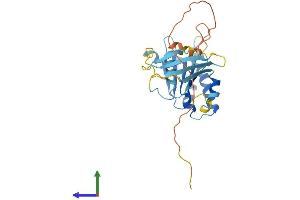 AlphaFold protein structure predicition of Mouse Recombinant Swsap1 Protein, UniprotID Q8VCI7 (SWSAP1 Protein (AA 1-278) (His tag))