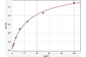 alpha-2-HS-Glycoprotein (AHSG) ELISA Kit