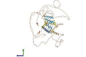 AlphaFold protein structure predicition of Mouse Recombinant Hjurp Protein, UniprotID Q6PG16 (HJURP Protein (AA 1-667) (His tag))