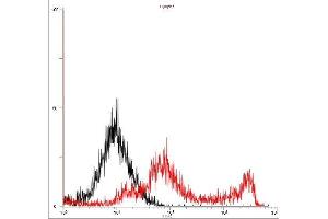 Flow Cytometry (FACS) image for anti-HHV6 gQ1 (AA 3-422) antibody (ABIN2452012) (HHV6 gQ1 (AA 3-422) antibody)