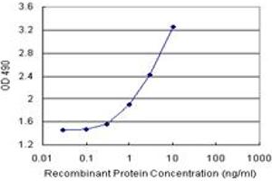 Sandwich ELISA detection sensitivity ranging from 0. (CBL (Human) Matched Antibody Pair)