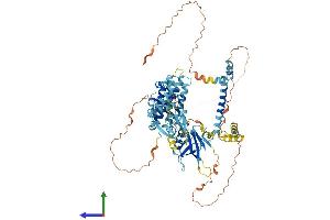 AlphaFold protein structure predicition of Human Recombinant CNKSR1 Protein, UniprotID Q969H4 (CNKSR1 Protein (AA 1-720) (His tag))