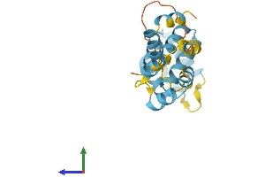 AlphaFold protein structure predicition of Human Recombinant PYCARD Protein, UniprotID Q9ULZ3 (PYCARD Protein (AA 1-195) (His tag))